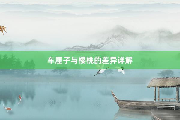 车厘子与樱桃的差异详解