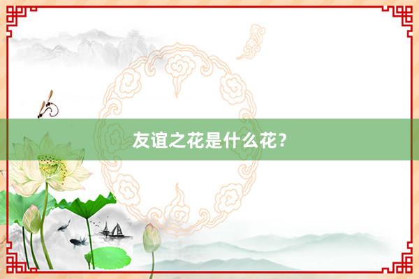 友谊之花是什么花？